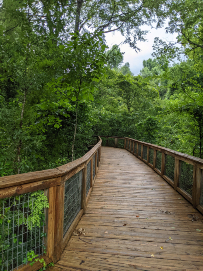 BREC's Bluebonnet Swamp Nature Center BREC's Bluebonnet Swamp Nature Center
