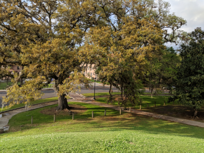 Indian Mounds Indian Mounds